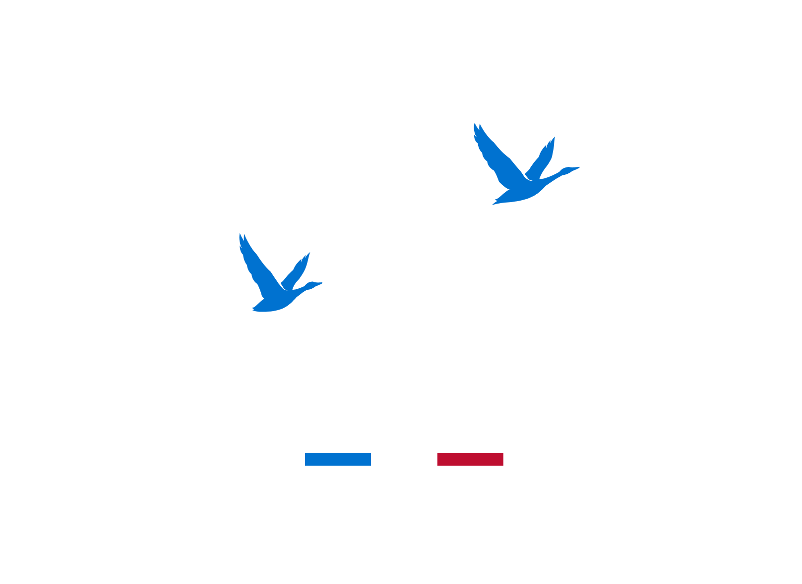 Grey Goose